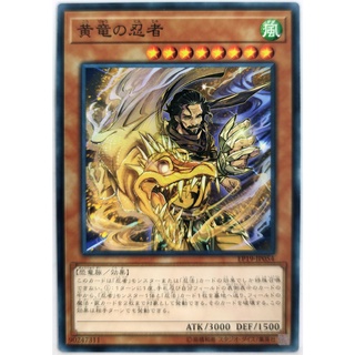 Yellow Dragon Ninja |JP| Common