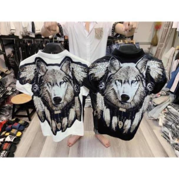 Áo thun nam.áo polo DG.áo phông DG thêu sói 2020