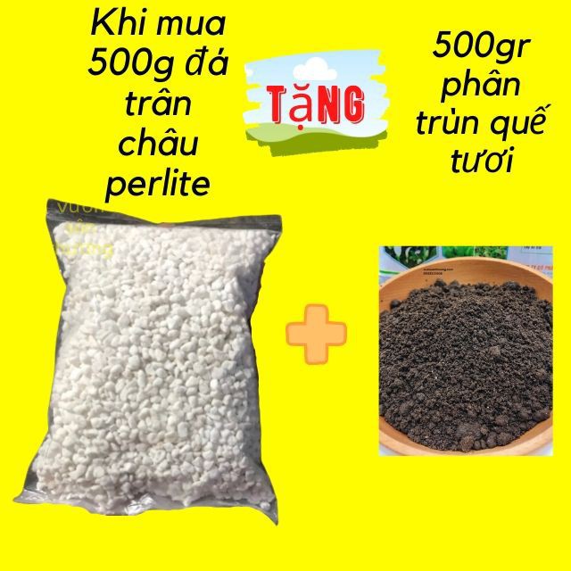 Đá Perlite- [Gói 500g- tặng 500g Phân Trùn Quế Tươi ]Trân Châu Giá Thể Cao Cấp Trồng Hồng, Dâu Tây, Sen Đá, Xương Rồng