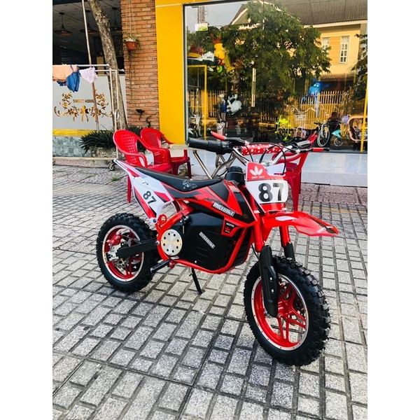 Xe cào cào châu âu 36v500w