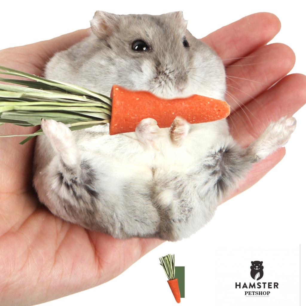 Cà rốt mini cho hamster , sóc, nhím