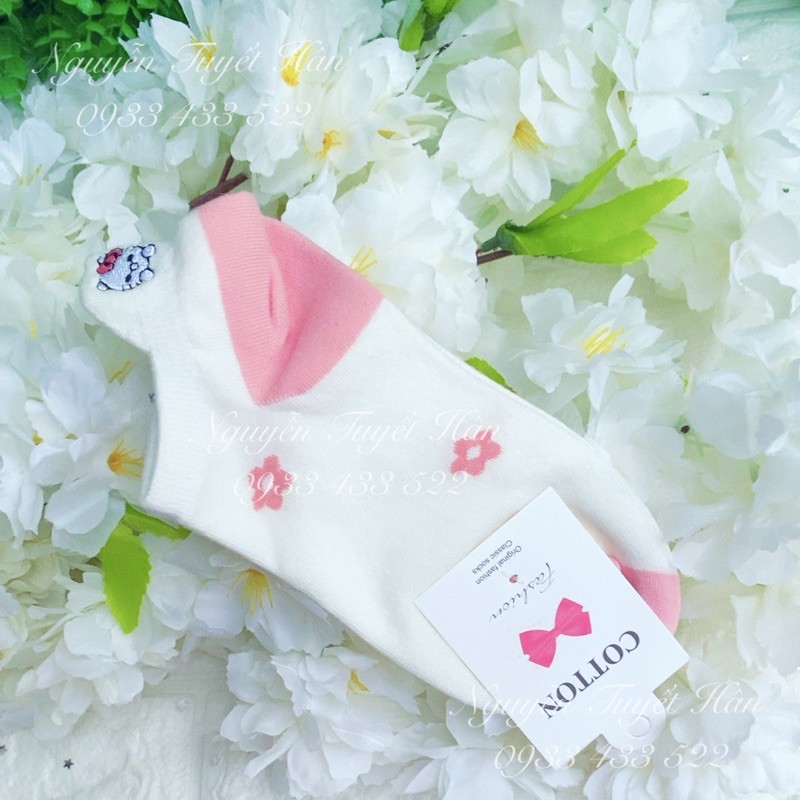 VỚ (TẤT CHÂN) CỔ NGẮN HELLO KITTY