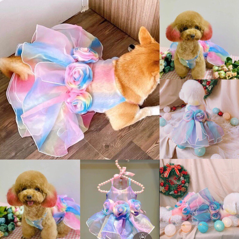 Váy Đầm Cho Chó Mèo Voan Hàn thiết kế bồng bềnh cực điệu đà