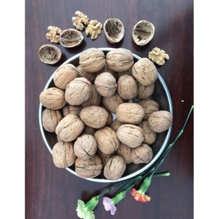 500gr HẠT ÓC CHÓ NGUYÊN VỎ