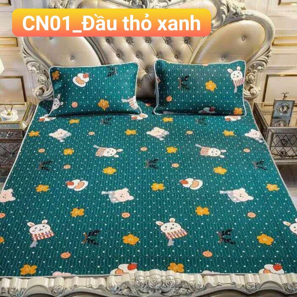 Chiếu điều hòa tencel,chiếu cao su non 2D,mẫu mưa hoa xanh