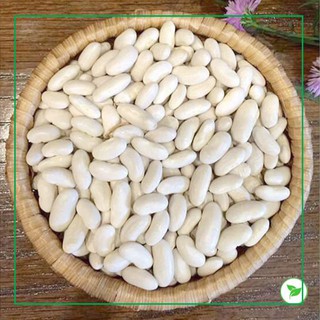 Đậu Trắng - 500g (Hạt To & Hạt Nhỏ)