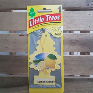 Cây thông thơm little trees mỹ