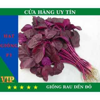 Hạt Giống RAU DỀN ĐỎ Năng Suất, Dinh Dưỡng Cao - MUA 4 TẶNG 1