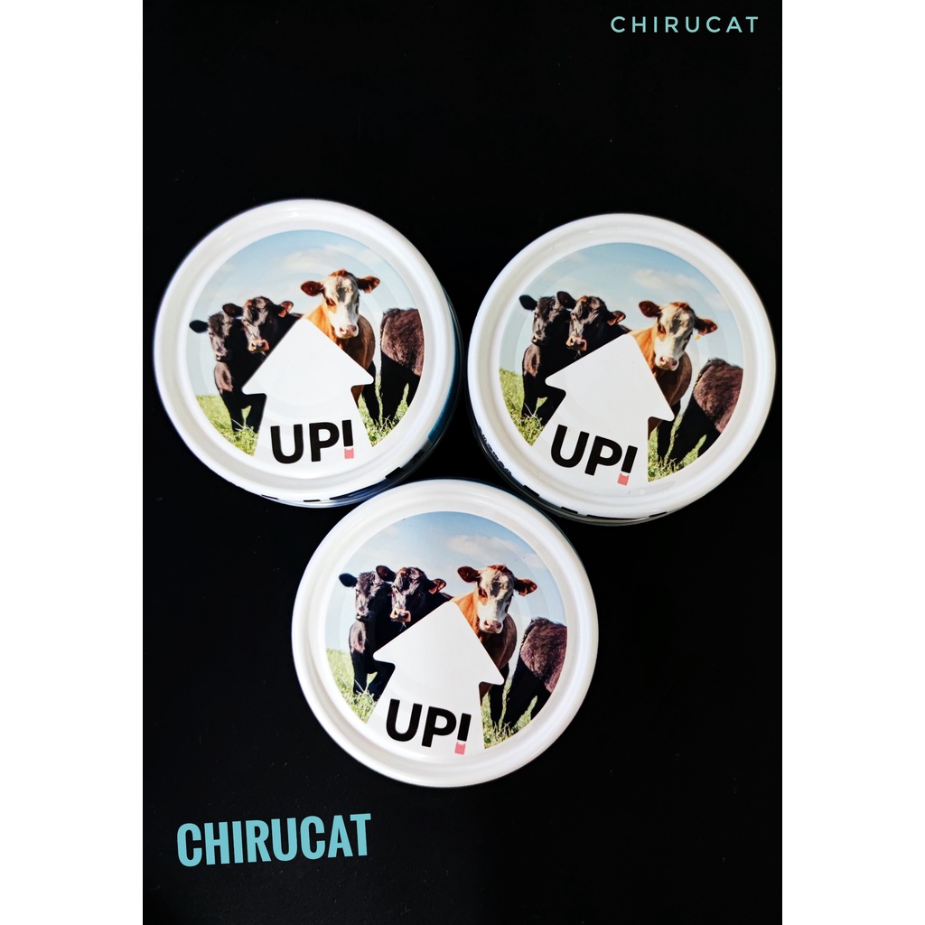 Pate UP Hàm Lượng Dinh Dưỡng Cao Multivitamin Bò,Gà,Cá,Hồi Hộp 6 Lon 100gr