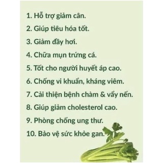 [HCM] Bột diếp cá sấy lạnh nguyên chất