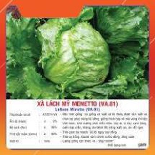 Hạt giống xà lách MỸ