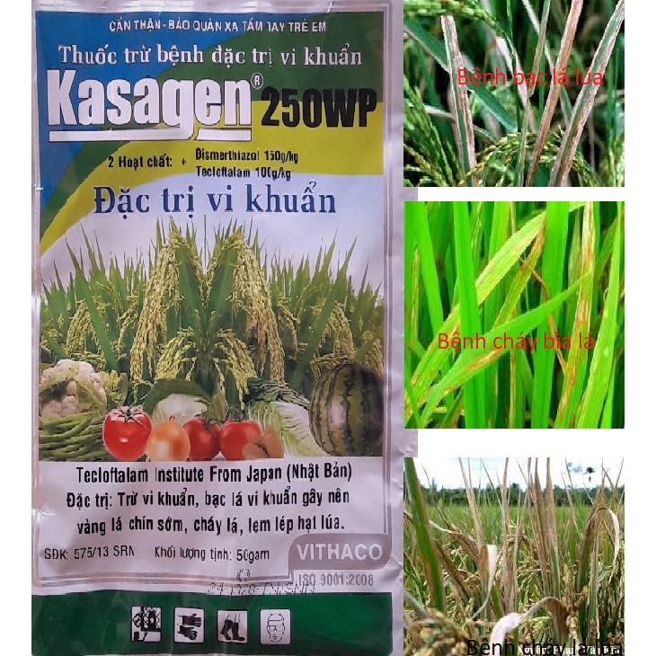 Chế phẩm trừ bệnh Kasagen 250WP 50gr