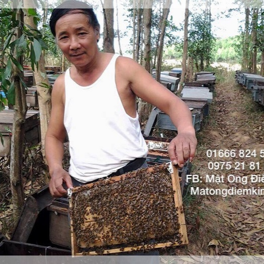 Trang Trại Ong Điềm Kim