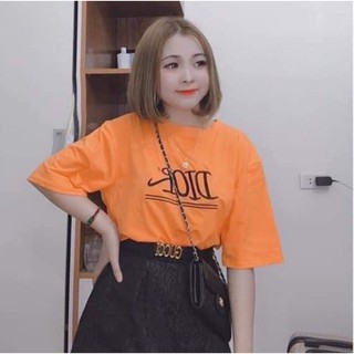 Áo thun tay lỡ Unisex Yinxx, áo phông thêu họa tiết chữ DIOR form rộng Hàn Quốc ATL17