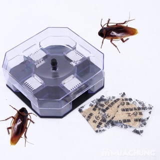 Hộp bắt gián thông minh