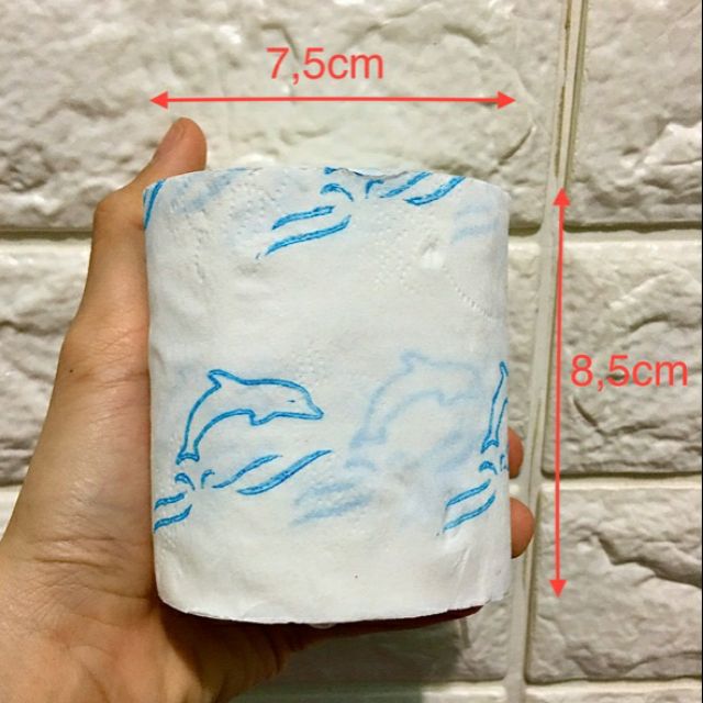 20 cuộn giấy cá heo