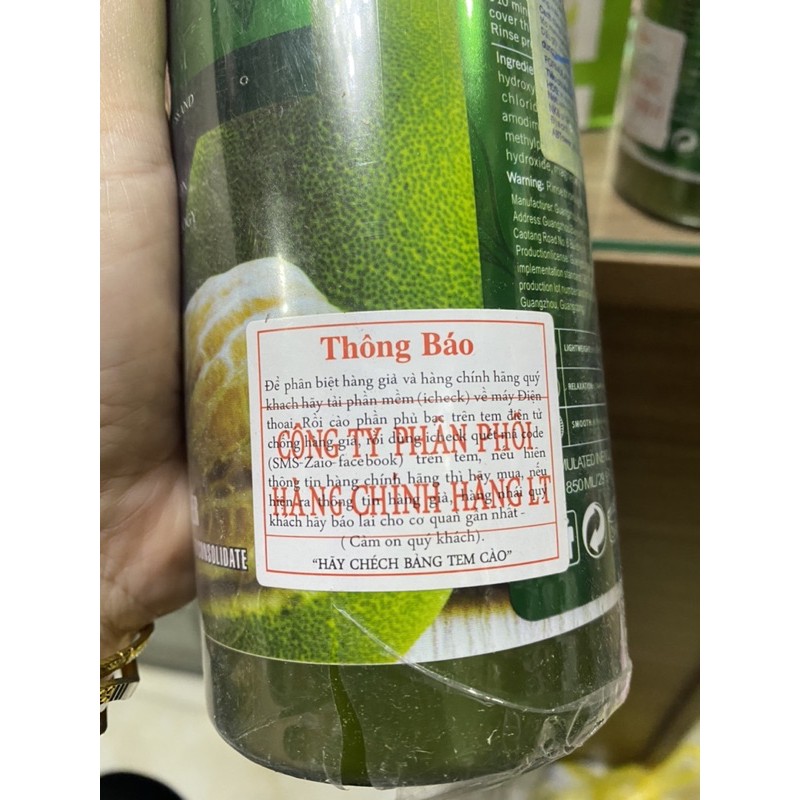 Dầu gội cặp BƯỞI -Grapefruit 850ml ( cả cặp gội + xả 2 chai) | WebRaoVat - webraovat.net.vn