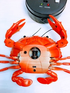 Con cua điều khiển🦀