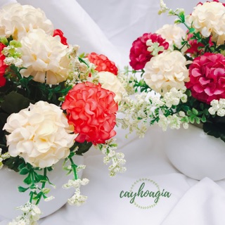 Chậu hoa tú cầu cắm sẵn m03
