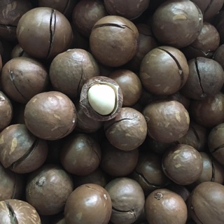 Macca Đắc Lắc