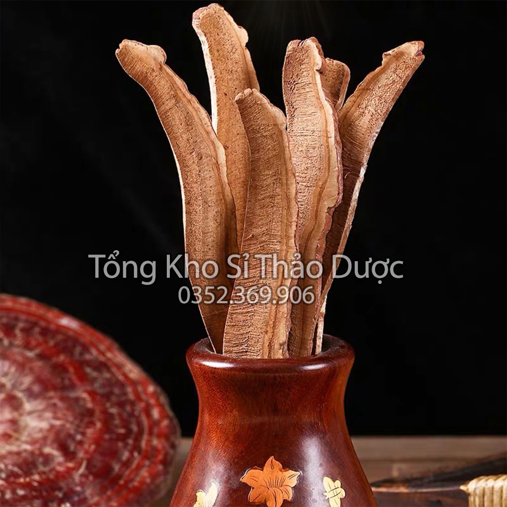 Bột nấm linh chi nguyên chất 1kg