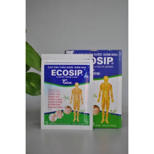 ECOSIP - CAO DÁN THẢO DƯỢC gói 5 miếng