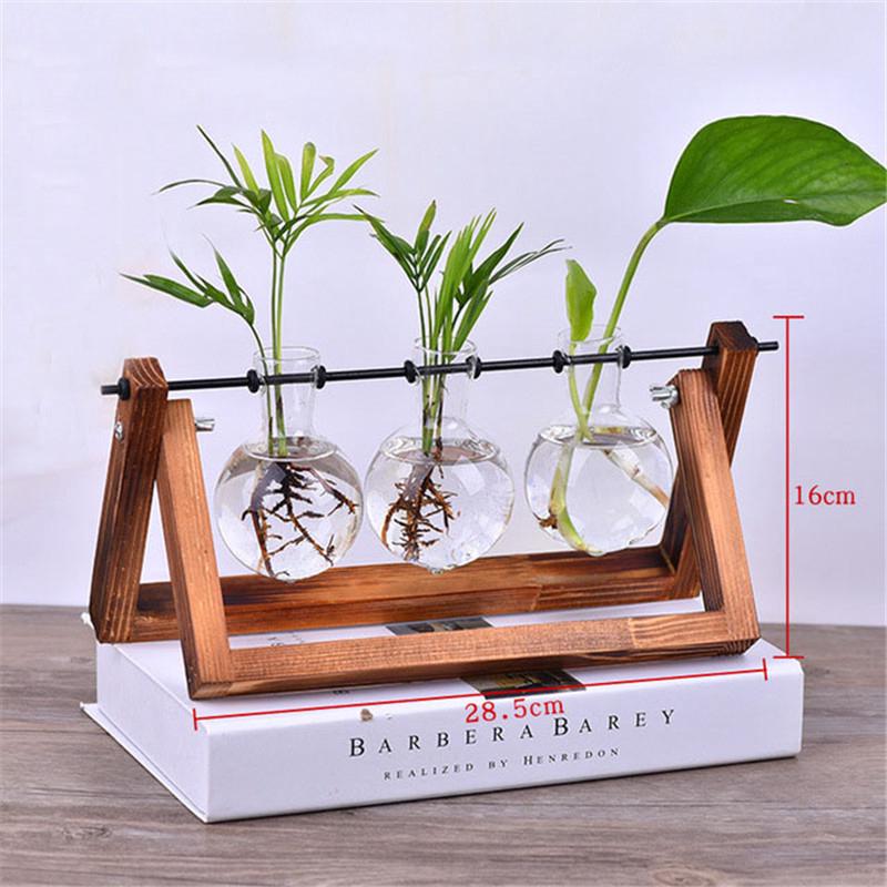 Chậu thủy tinh trồng cây kiểng