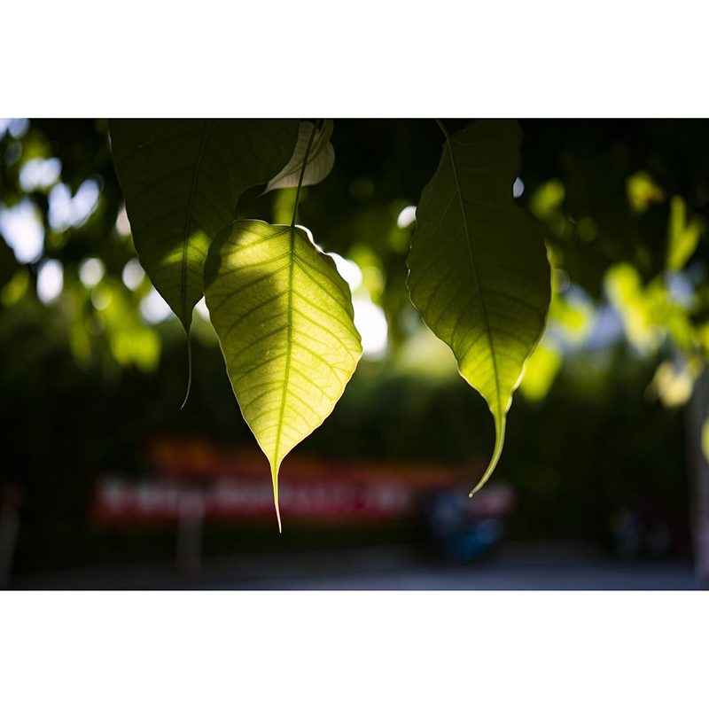 Ống Kính Viltrox AF 35mm f/1.8 Dành Cho Máy Ảnh Nikon Z, Sony E Chính Hãng