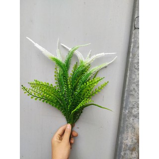 Cụm điểm đuôi chồn
