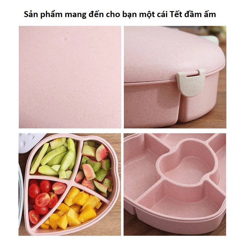 Khay Mứt Tết, Khay Đựng Bánh Kẹo, Hoa Quả Ngày Tết