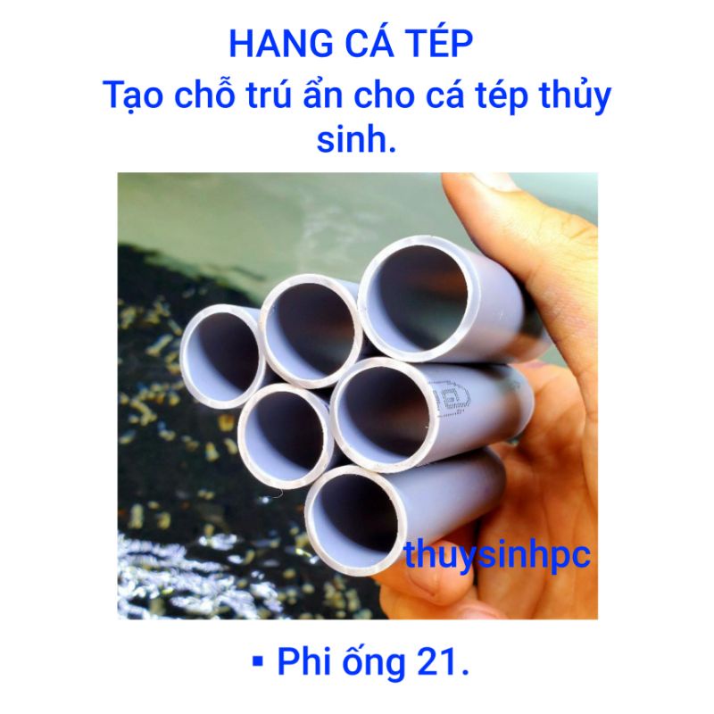 Hang cá tép cảnh trang trí và tạo nơi trú ẩn cho cá tép cảnh