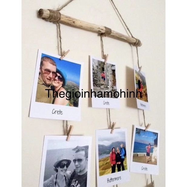 Cành gỗ treo ảnh decor trang trí không gian