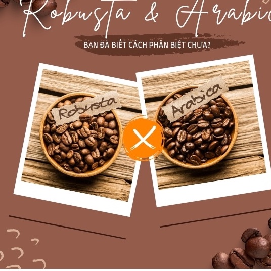 Cà phê Arabica - Robusta nguyên chất 100% Đăk Lăk