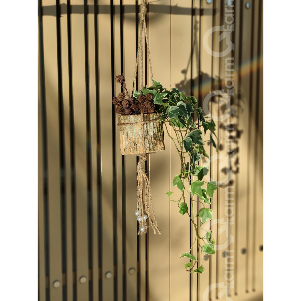 Chậu gỗ trồng cây - kiểu đứng