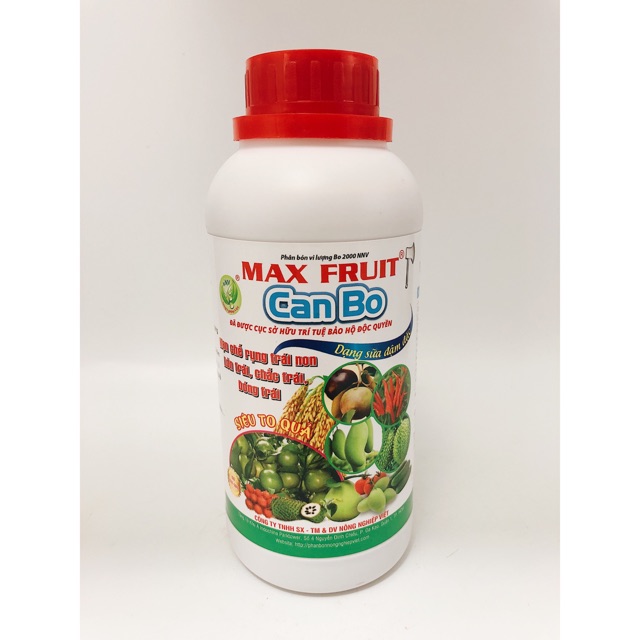 CANXI BO - SIÊU ĐẬU TRÁI