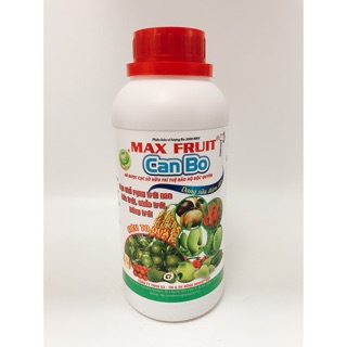 CANXI BO - SIÊU ĐẬU TRÁI