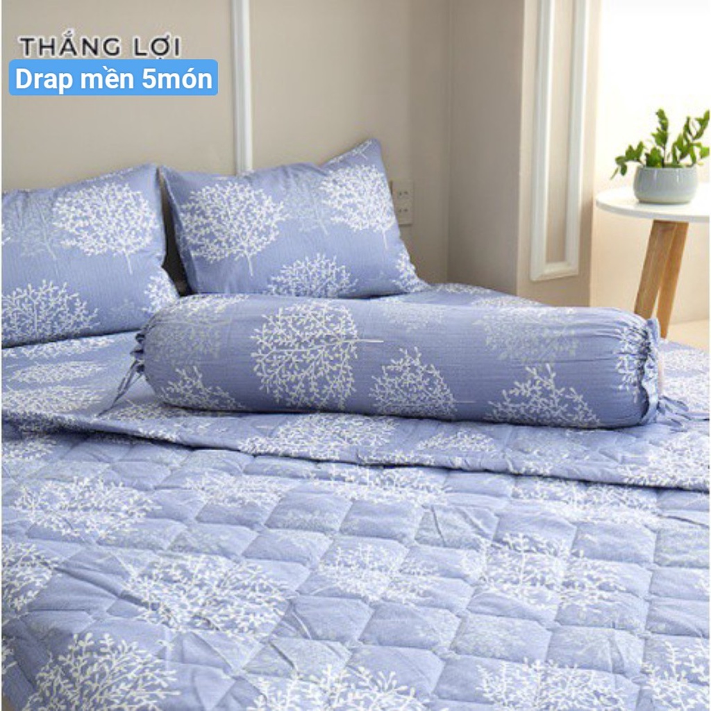 Bộ Drap Cotton Thắng Lợi Kèm Mền Chần Gòn --5 món { chat để chọn màu nha bạn} | BigBuy360 - bigbuy360.vn