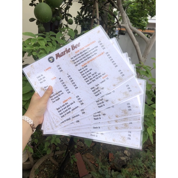 Menu giấy ép plastic khổ a4, a5 giá rẻ miễn phí thiết kế