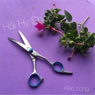 (Ảnh thật) KÉO CONG CẮT TỈA LÔNG CHÓ MÈO