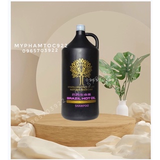 Dầu gội xả can 5 lít hương nước hoa