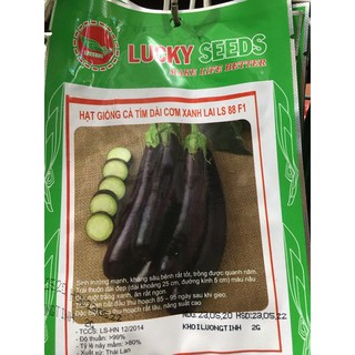 Hạt giống cà tím