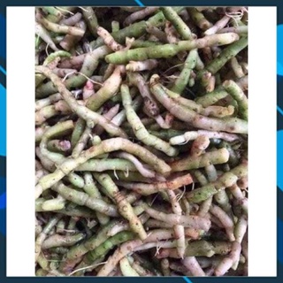 1kg tứn khửn tươi hàng chọn”bổ thận tăng cường sinh lý nam nữ