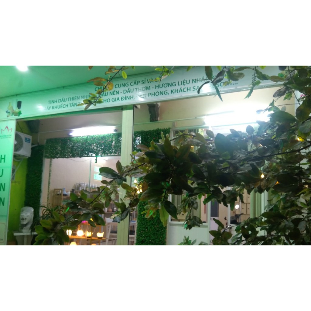 Tinh dầu nước hoa Pháp Santal 33 | Thế Giới Skin Care