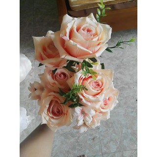 hồng đà lạt