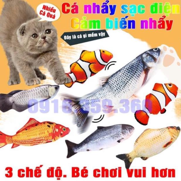 Đồ chơi cá nhảy theo nhạc cho bé