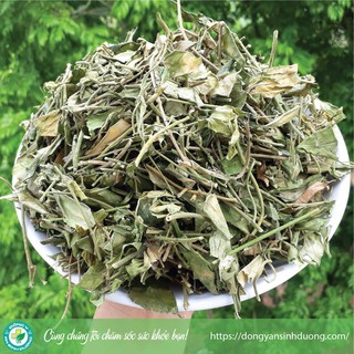 [1kg] Dây thìa canh - Hỗ trợ điều trị bệnh tiểu đường