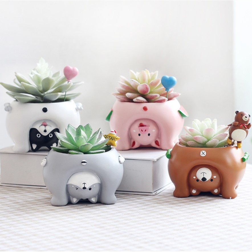Chậu Cây Mini Hình Động Vật Thú Cưng Hoạt Hình Dễ Thương - Chậu Hoa Để Bàn Đáng Yêu Cute