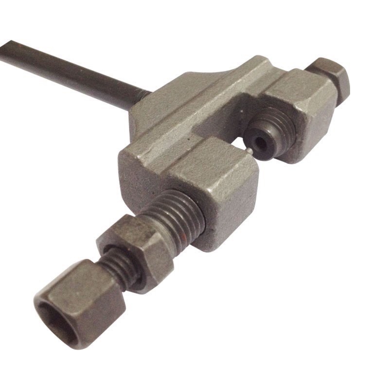 Cảo sên cam Century