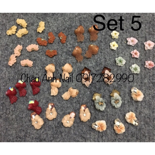 Set hoa bột nail