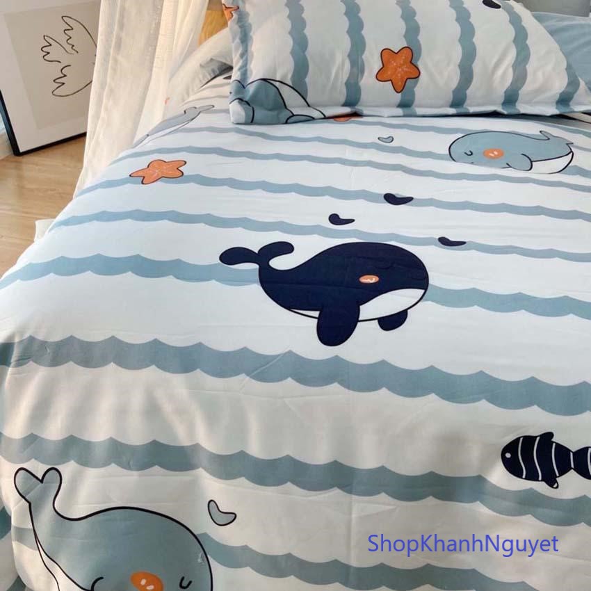 Bộ chăn ga gối cotton poly nhập khẩu - Cá Voi Xanh (SP001182)